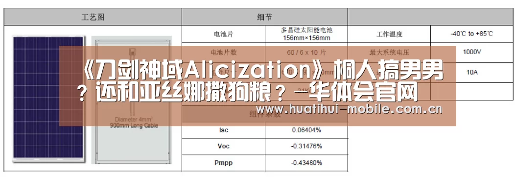 《刀剑神域Alicization》桐人搞男男?还和亚丝娜撒狗粮?-华体会官网(图4) hth中国