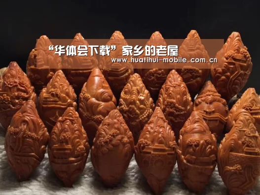 “华体会下载”家乡的老屋(图1) 华体会官网