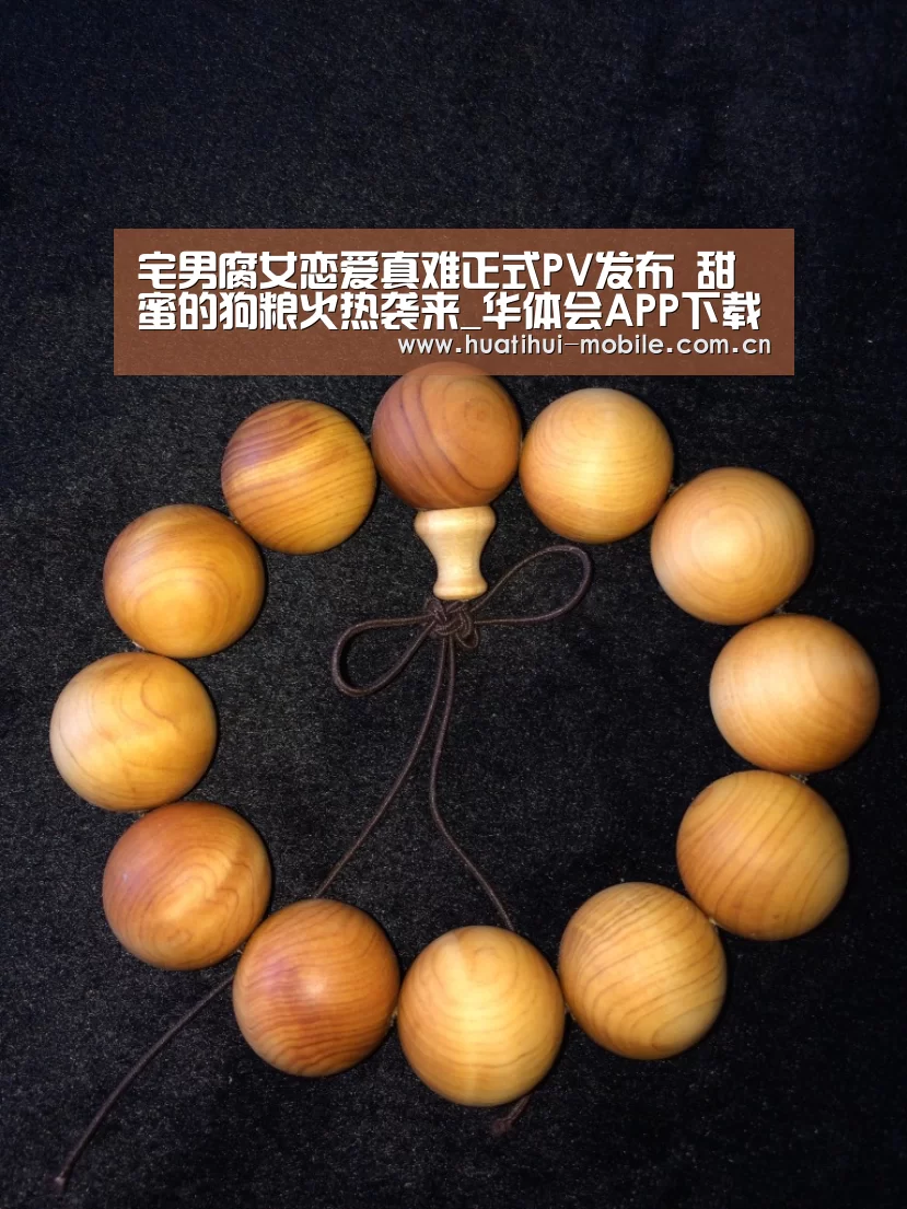华体会官网