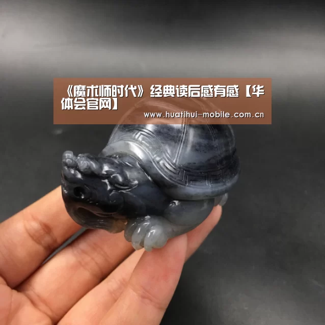 《魔术师时代》经典读后感有感【华体会官网】(图3) 华体会官网
