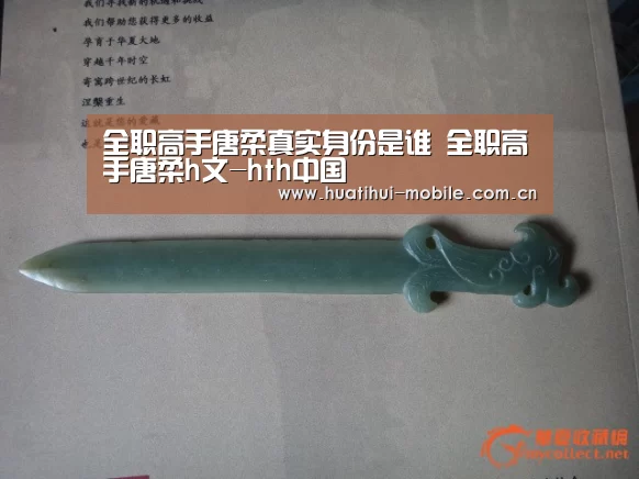 全职高手唐柔真实身份是谁 全职高手唐柔h文-hth中国(图2) 华体会下载