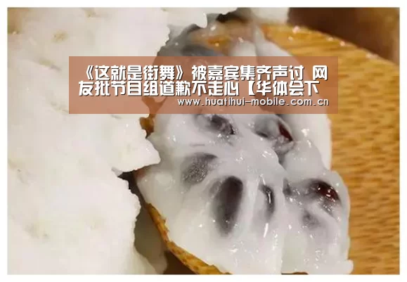 《这就是街舞》被嘉宾集齐声讨 网友批节目组道歉不走心【华体会下载】(图3) 华体会下载