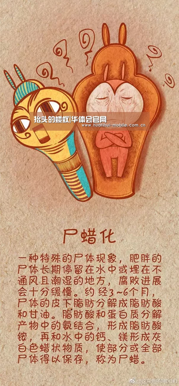抬头的蝼蚁|华体会官网(图1) 华体会官网